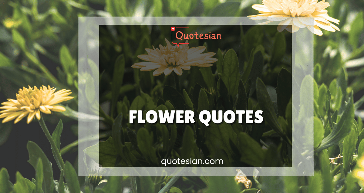 Flower Quotes