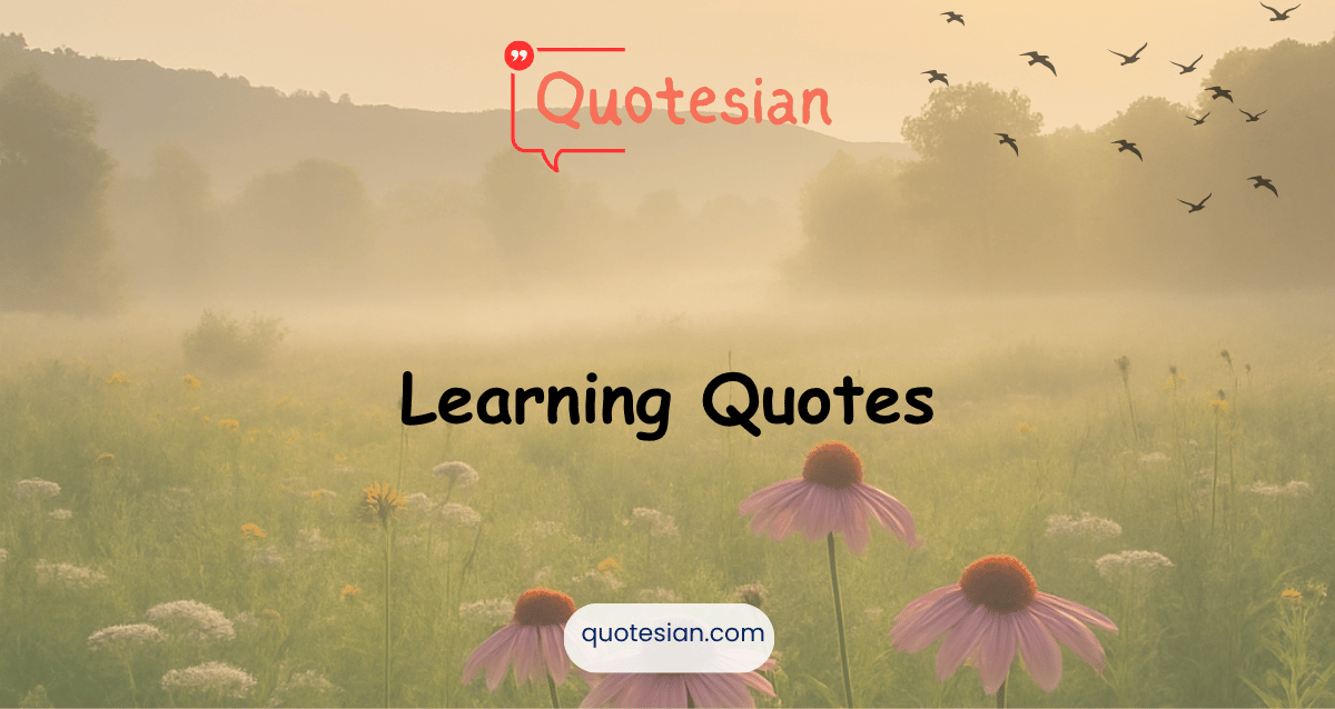 Learning Quotes