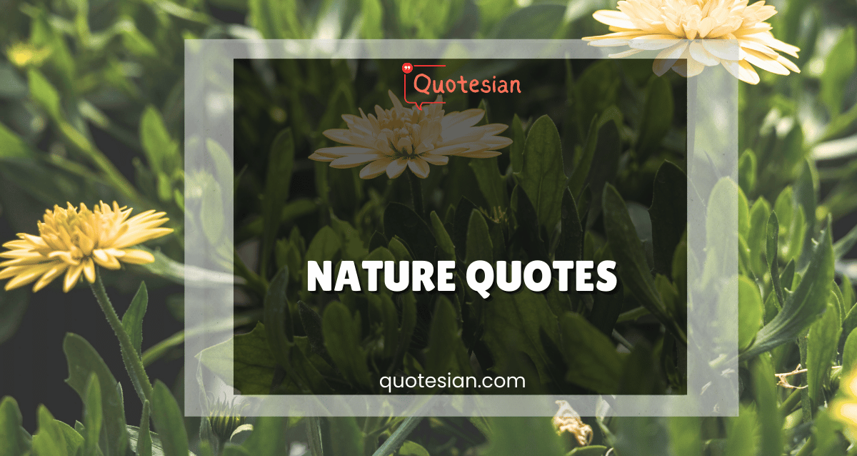 Nature Quotes