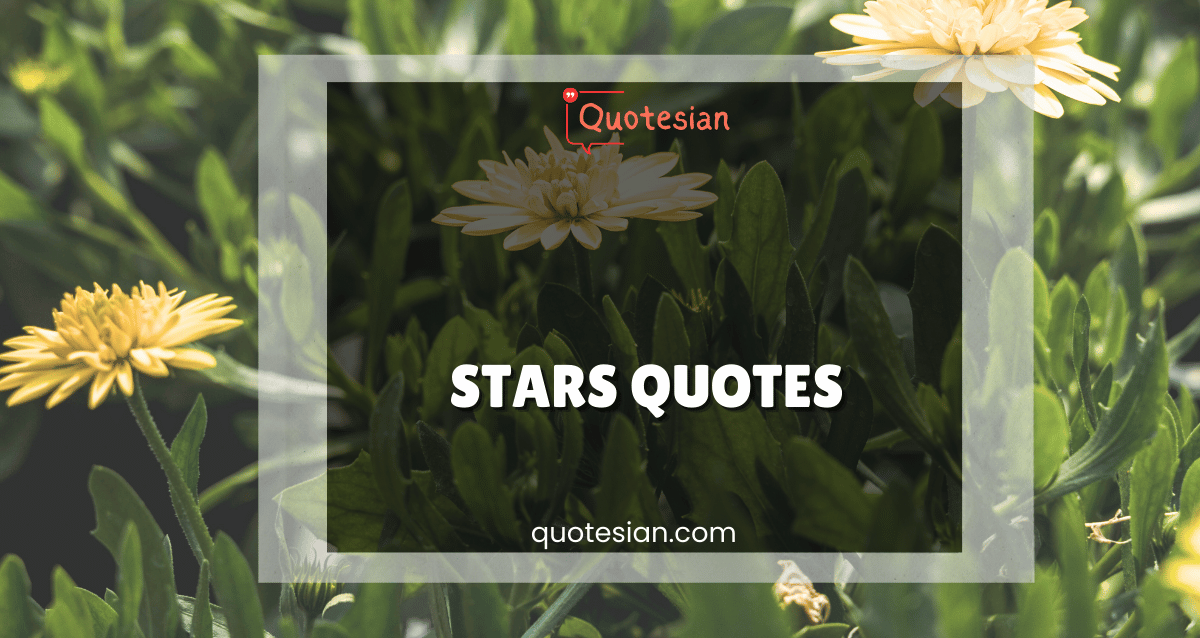 Stars Quotes