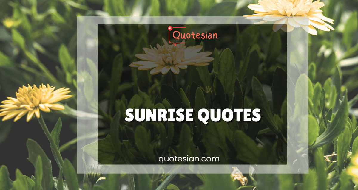Sunrise Quotes