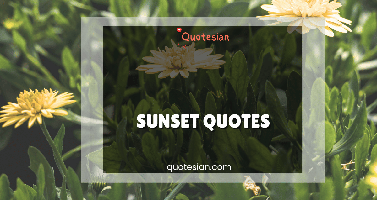Sunset Quotes