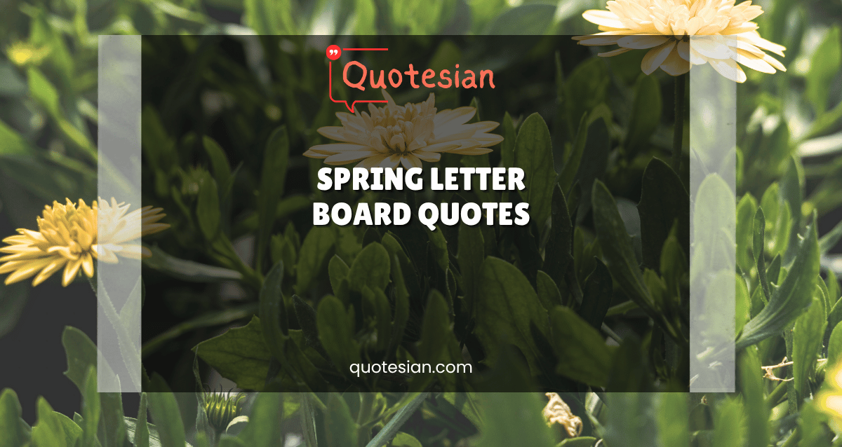 Spring Letter Board Quotes